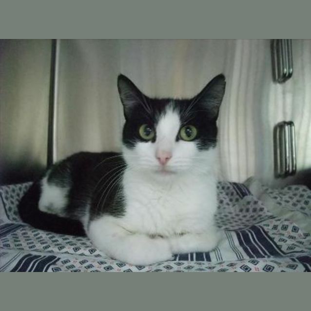Photo of Jasmine   C5860