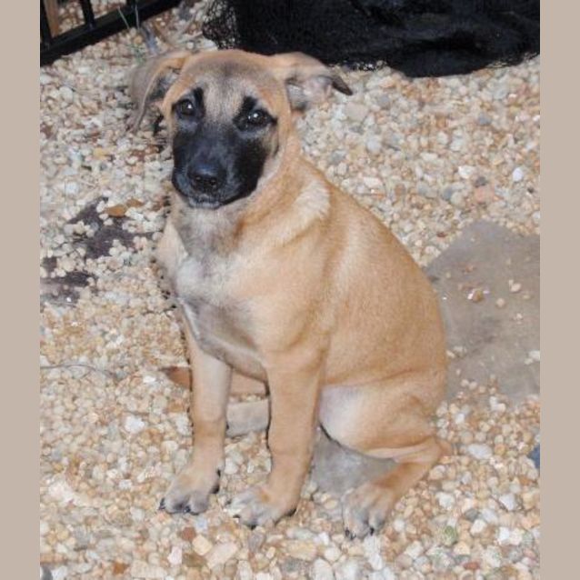 Photo of Luca (On Trial)