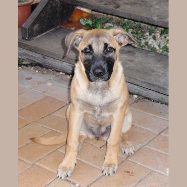 Photo of Luca (On Trial)