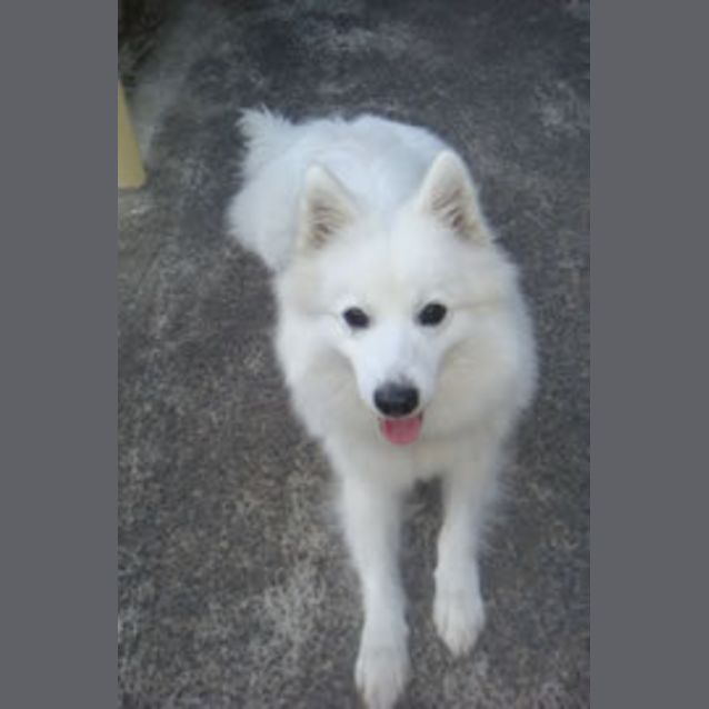 Photo of Snowflake