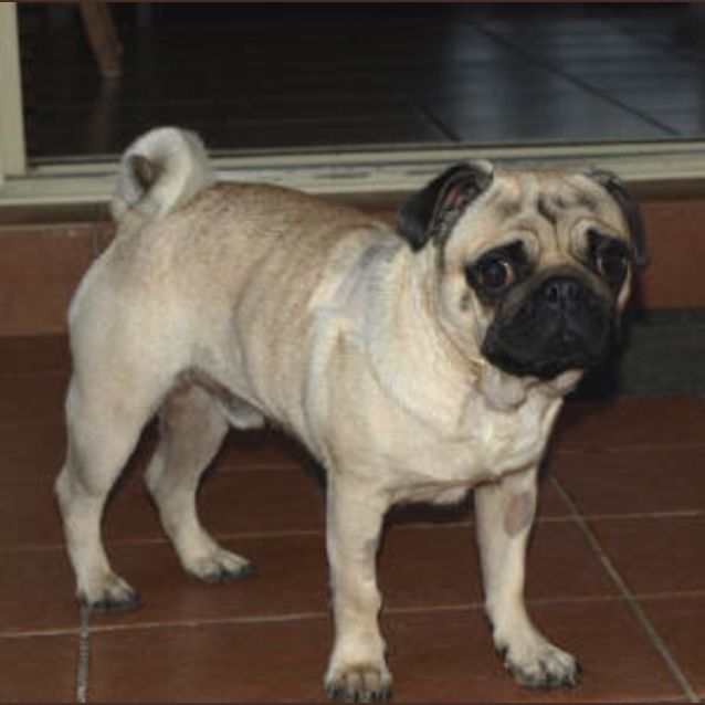 Photo of Squirt