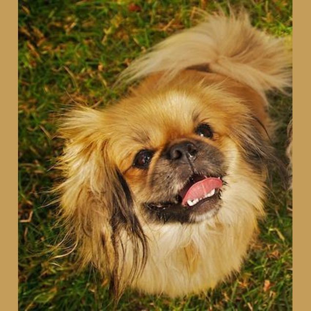 Photo of Chloe