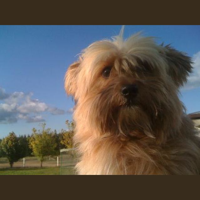 Photo of Benny