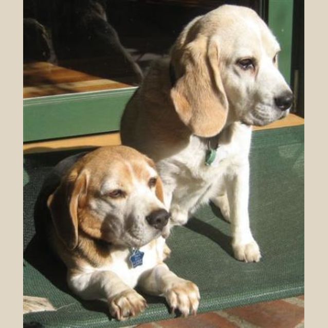 Photo of Oliver & Rupert