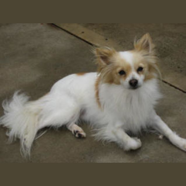 Photo of Obe Is Trying A New Home!
