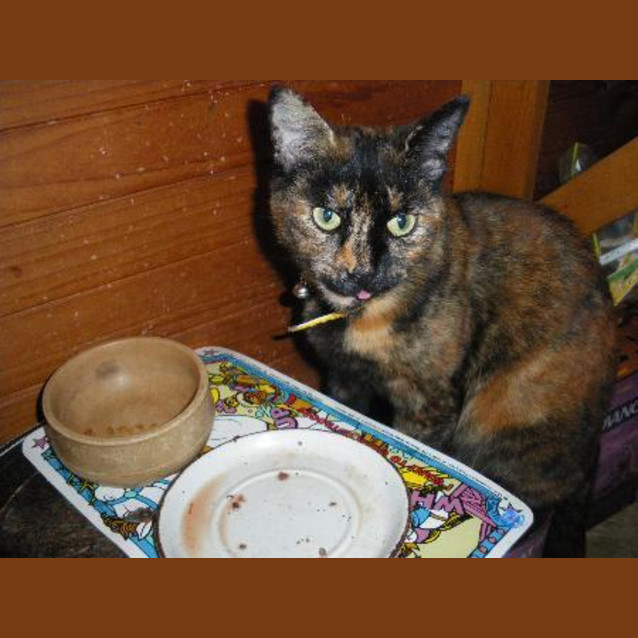 Photo of Sally