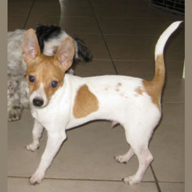 Photo of Swiper