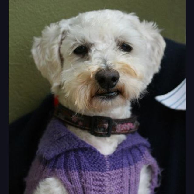 Photo of Ben