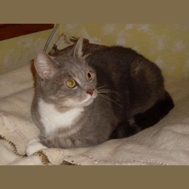 Photo of Zu Zu (On Trial)
