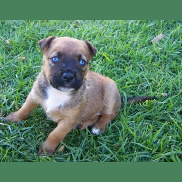 Photo of Victoria Adopted