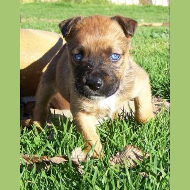 Photo of Victoria Adopted