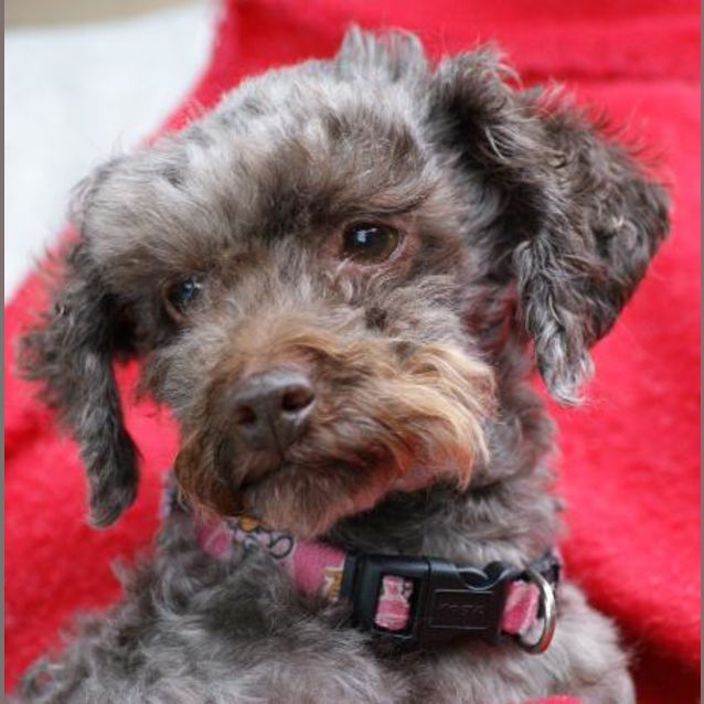 Photo of Cindy