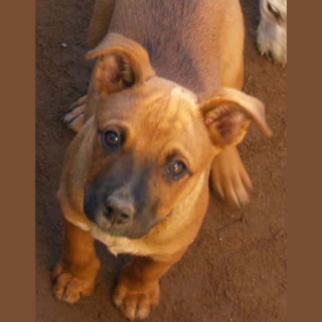 Photo of Gretel