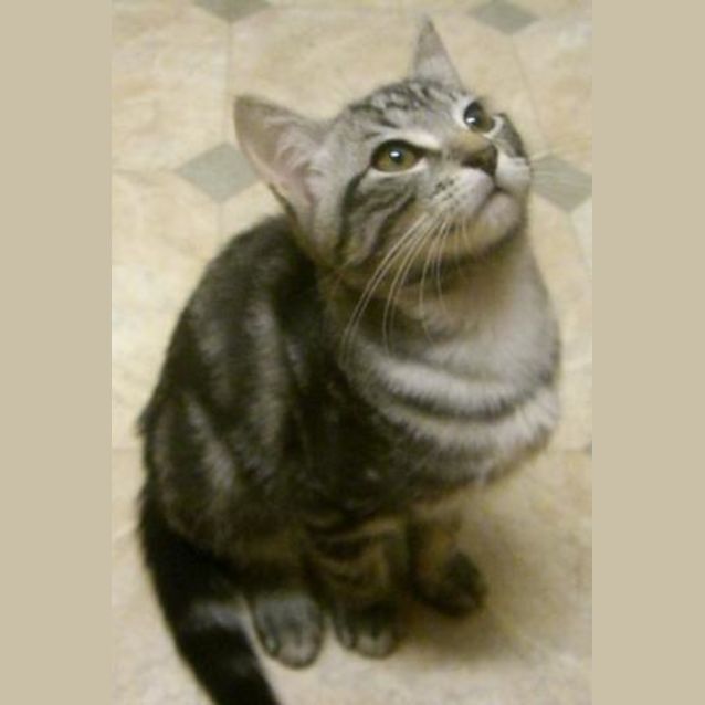 Photo of Diego