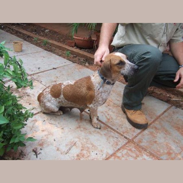 Photo of Buttercup