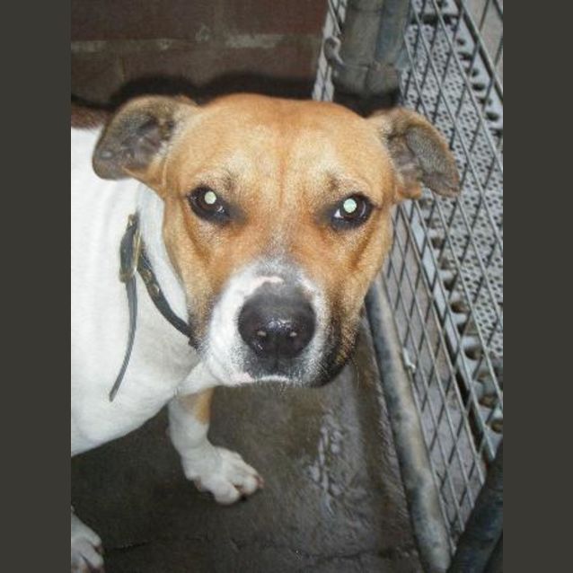Photo of Roxy