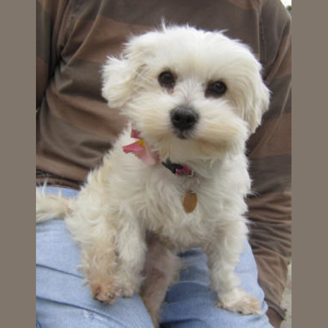Photo of Lily