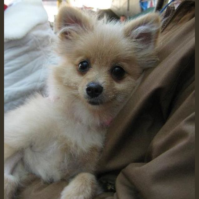 Photo of Sophia