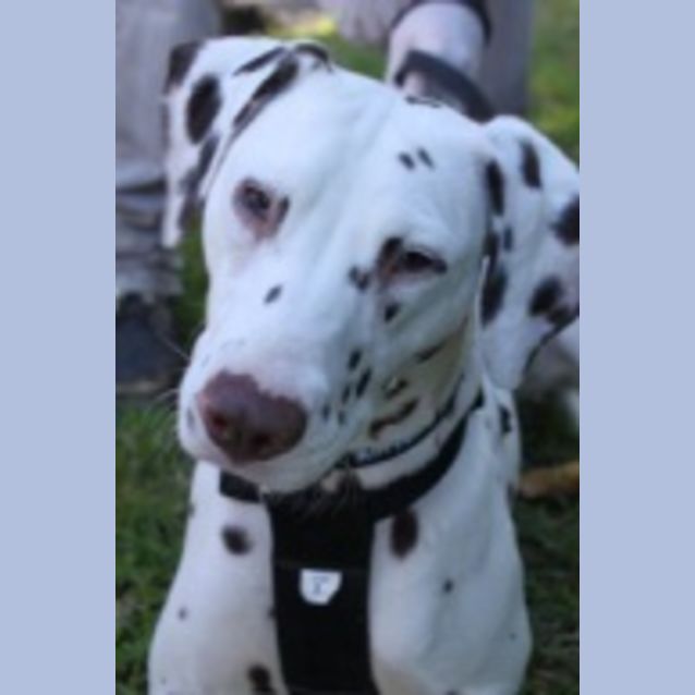 Photo of Narla