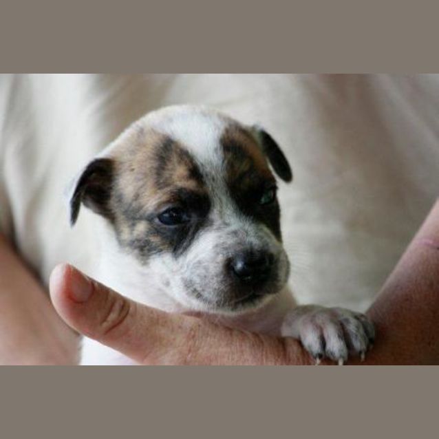 Photo of Zee/Adopted