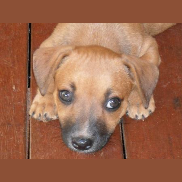 Photo of Lily
