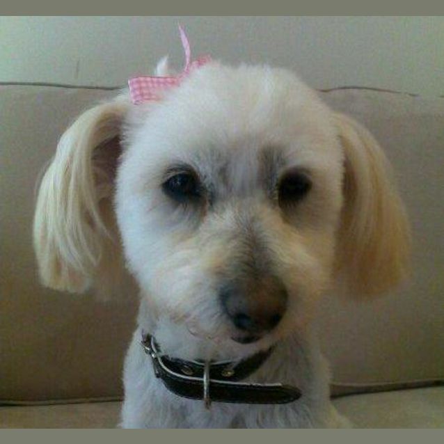 Photo of Viviette