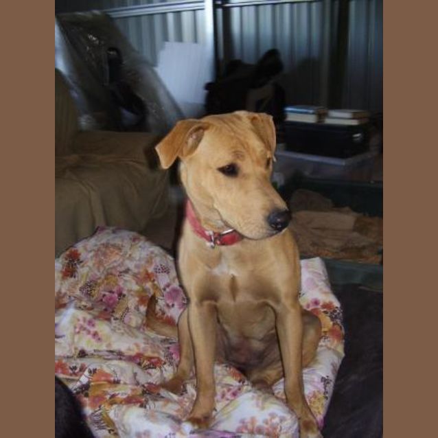 Photo of Sandy
