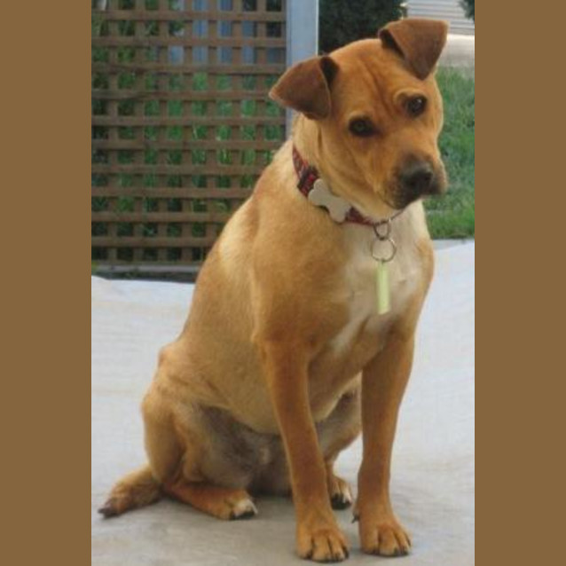 Photo of Marnie