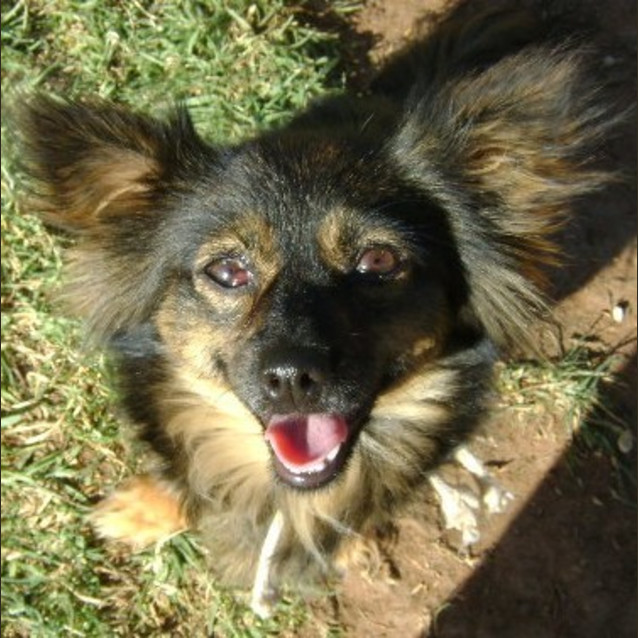 Photo of Effie