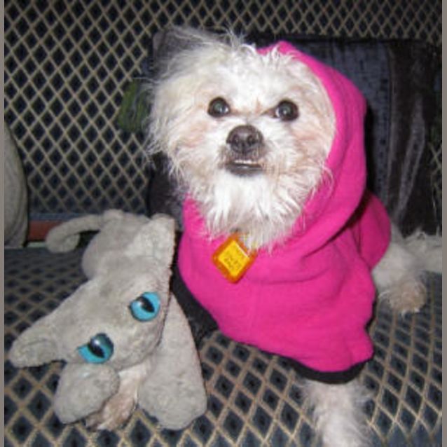 Photo of Giselle