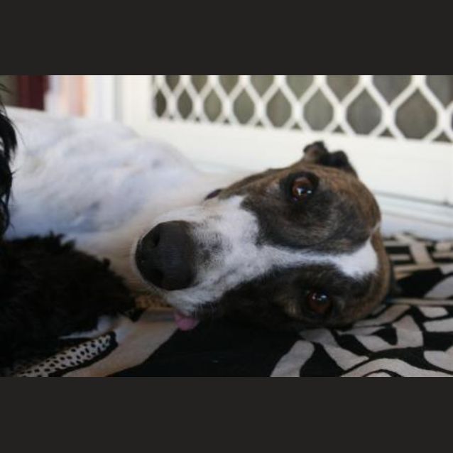 Photo of Bree