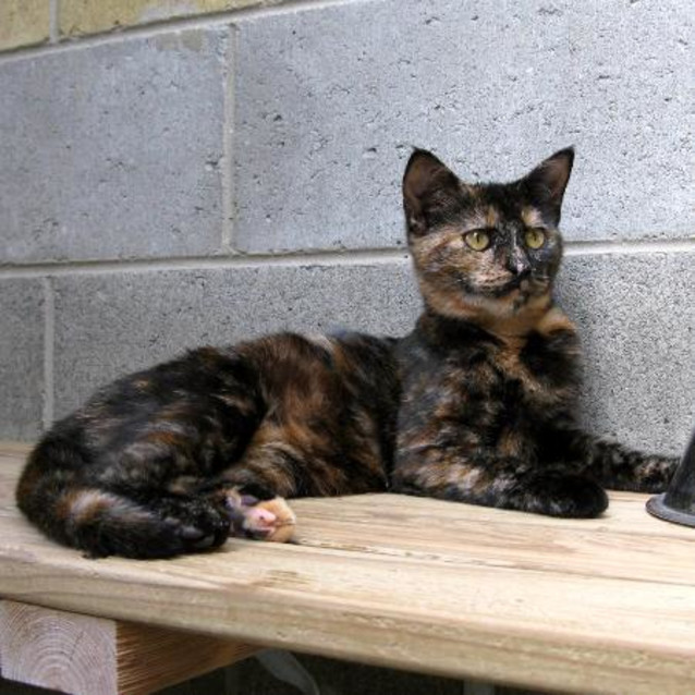 Photo of Blinky