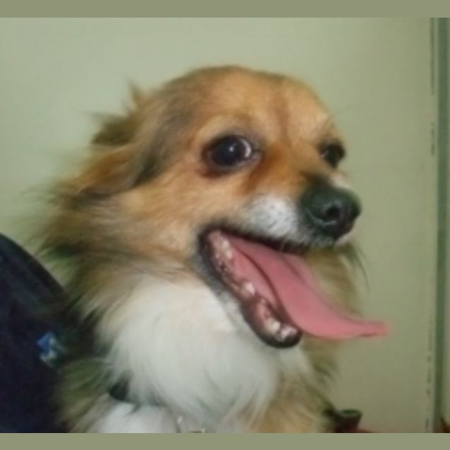 Photo of Max   A6144