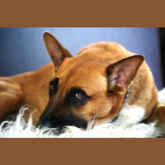 Photo of Georgie