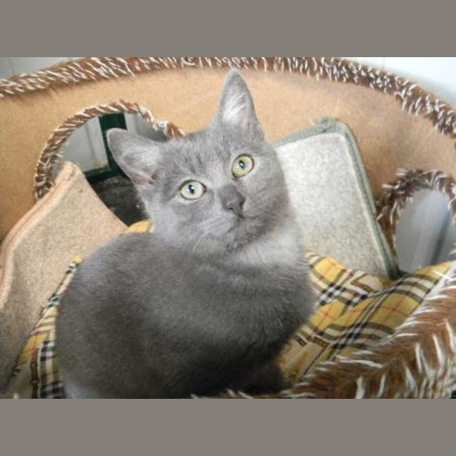 Photo of Gretel