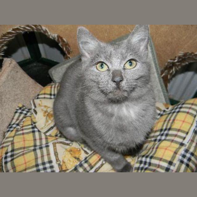 Photo of Gretel