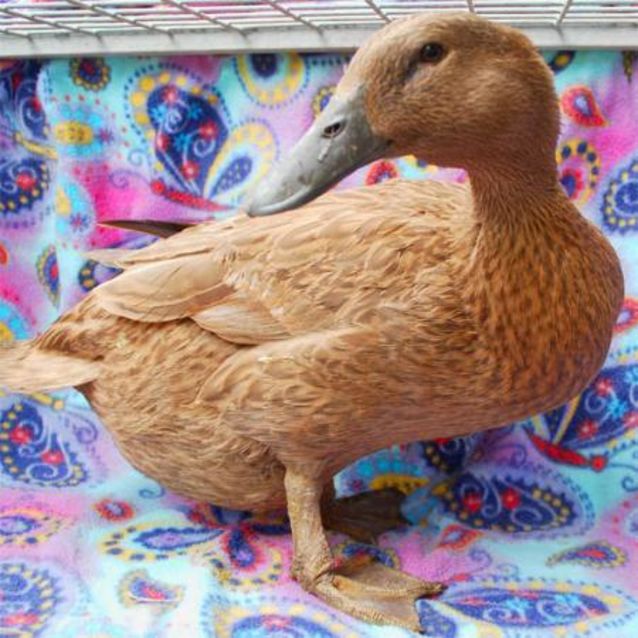 Photo of Jill