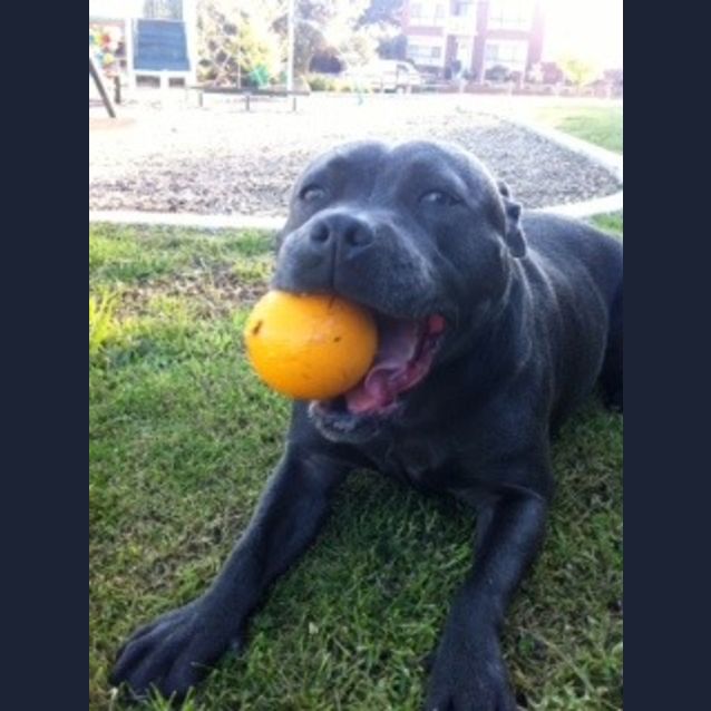 Photo of Mack