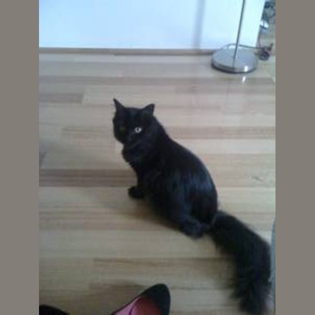 Photo of Therese (Luna)