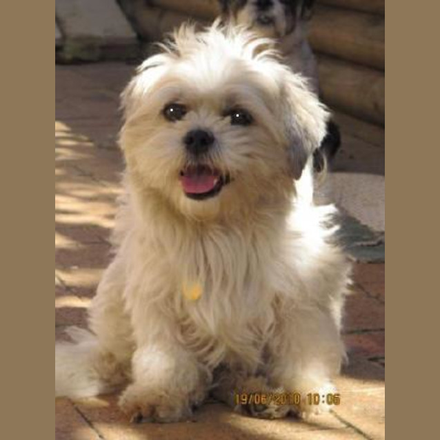 Photo of Percy