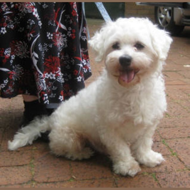 Photo of Georgie