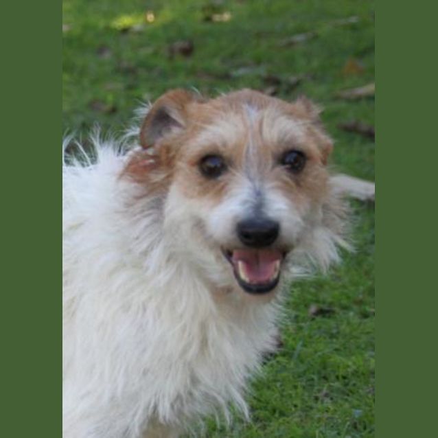 Photo of Spike & Butch