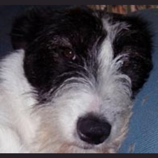 Photo of Tallie
