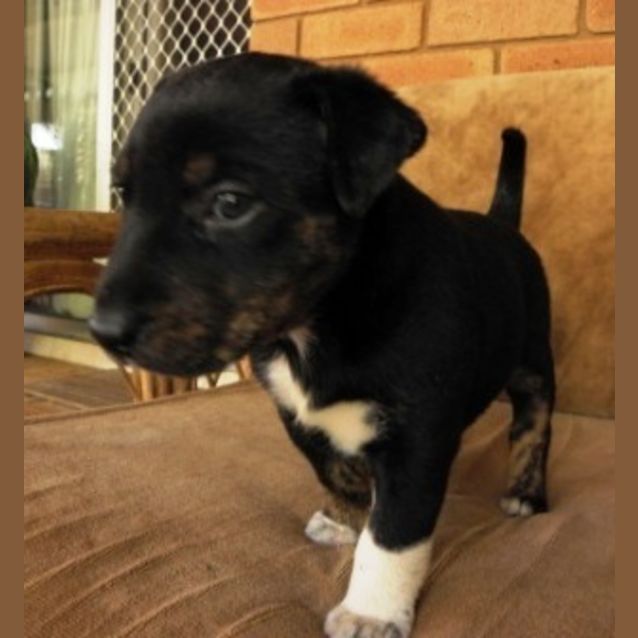 Photo of Mya (D1602)