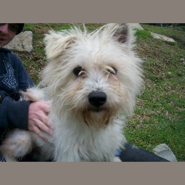 Photo of Buster