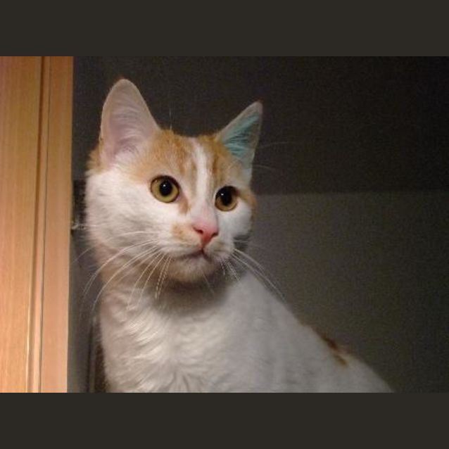 Photo of C7664 "Zero"