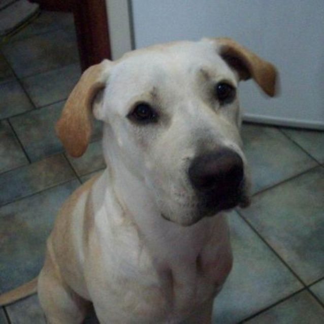 Photo of Bess  "On Trial"L