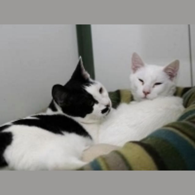 Photo of Little Man And Kel