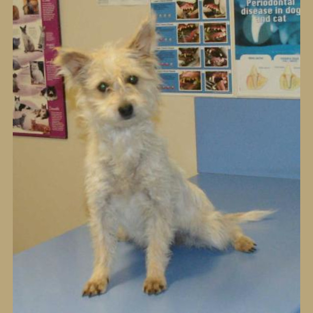 Photo of Skye