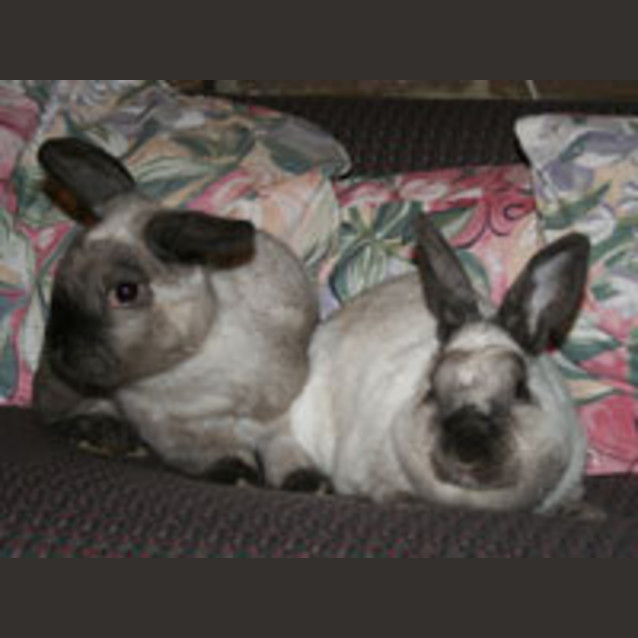 Photo of Max And Fern
